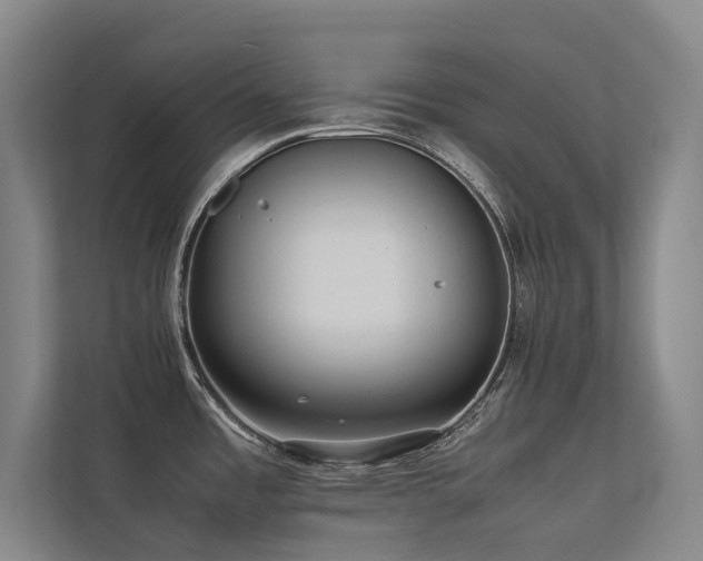 X0000113241485200909101358