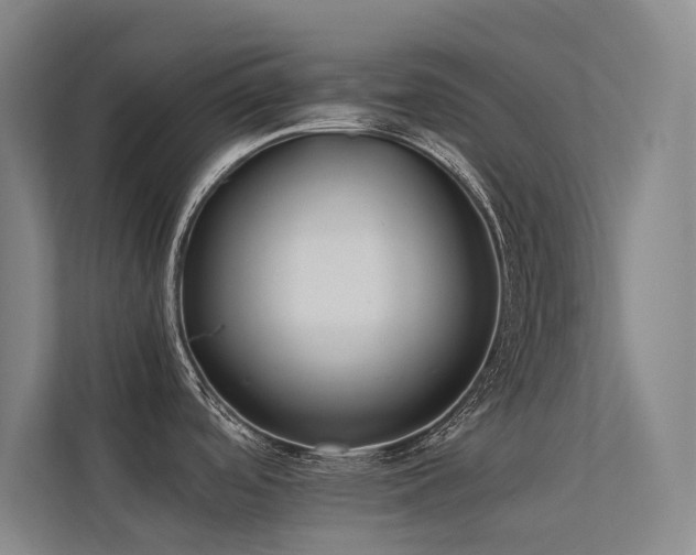 X0000113241488200909101358