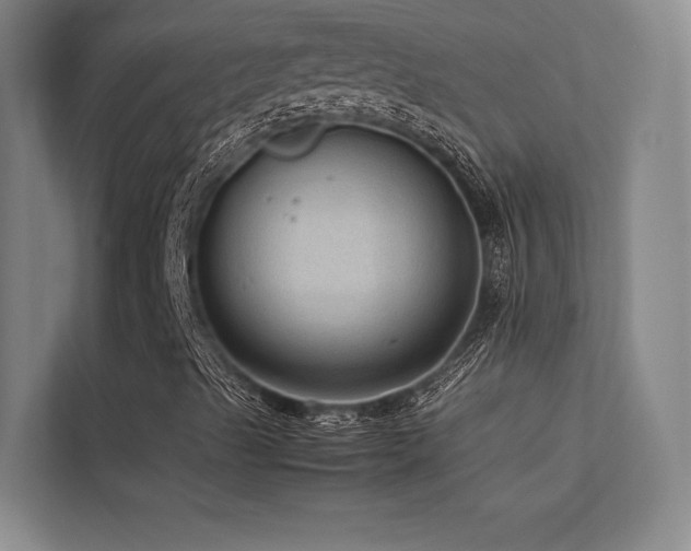 X0000113241489200909101357