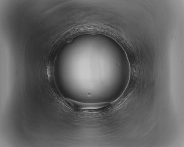 X0000113241490200909101357