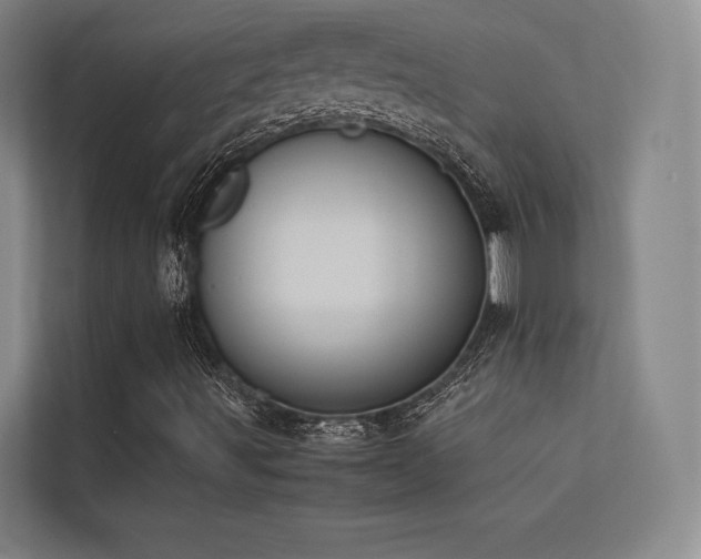 X0000113241491200909101357