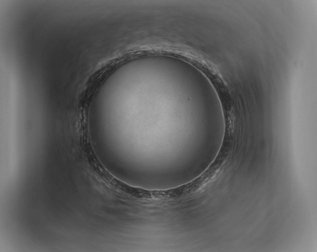 X0000113241494200909101357