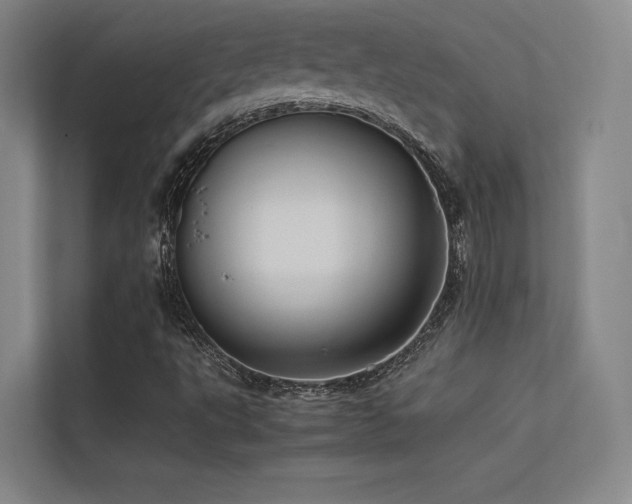 X0000113241495200909101357