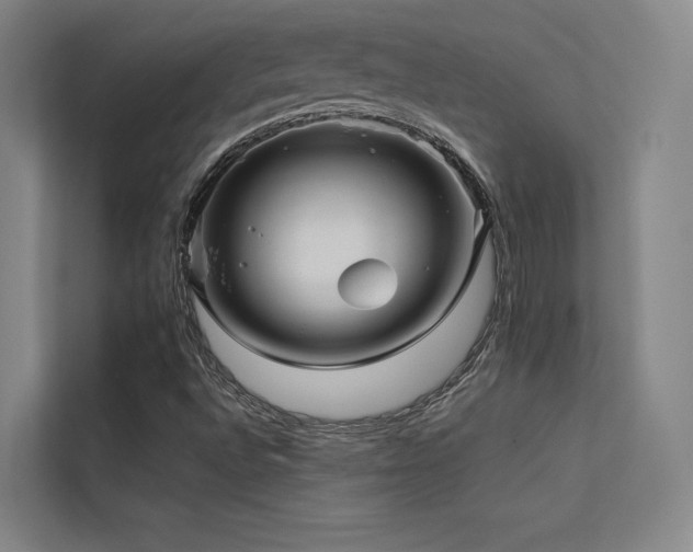 X0000113241496200909101357