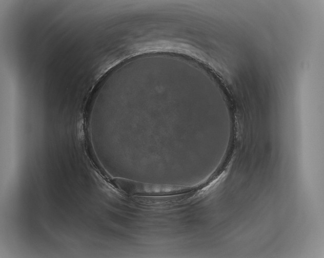 X0000113241497200909101357