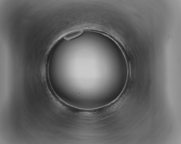 X0000113241500200909101357