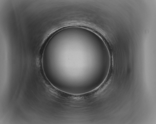 X0000113241501200909101357