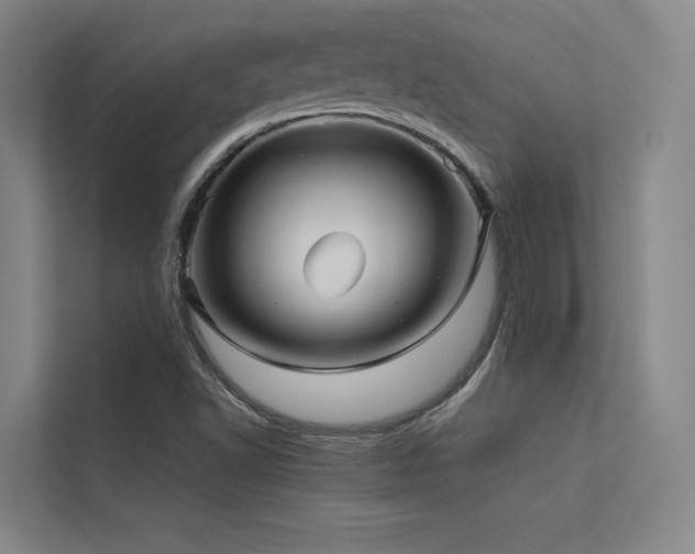 X0000113241502200909101357