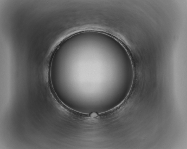 X0000113241504200909101357