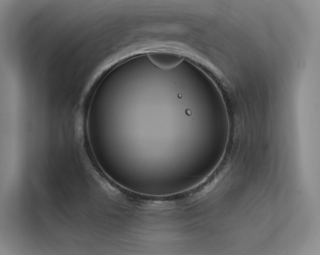 X0000113241506200909101357