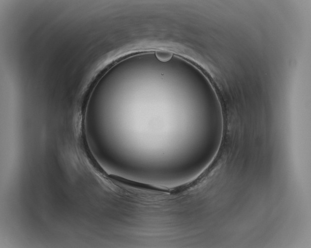 X0000113241507200909101357