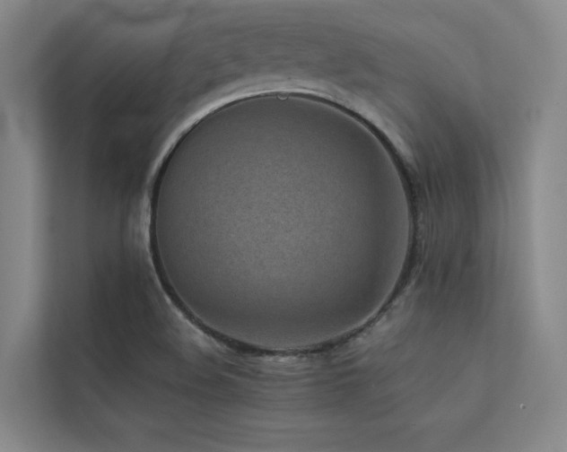 X0000113241508200909101357