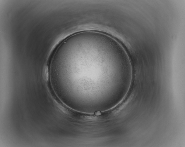 X0000113241509200909101357