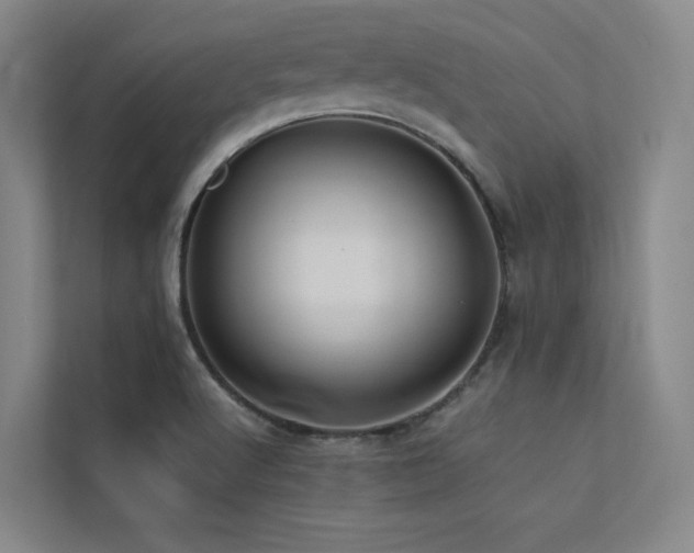 X0000113241512200909101358