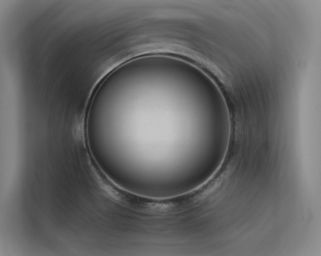 X0000113241513200909101358