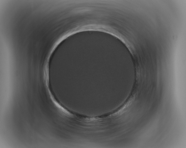 X0000113241515200909101358