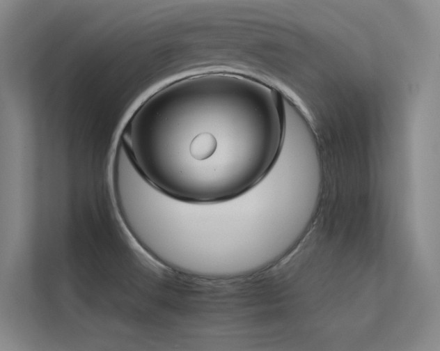 X0000113241516200909101358