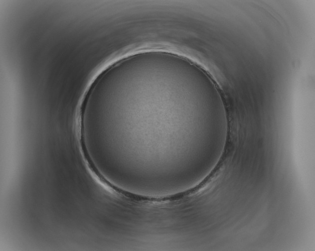 X0000113241519200909101358