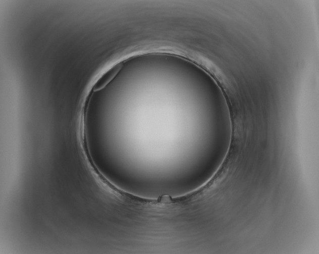 X0000113241520200909101358