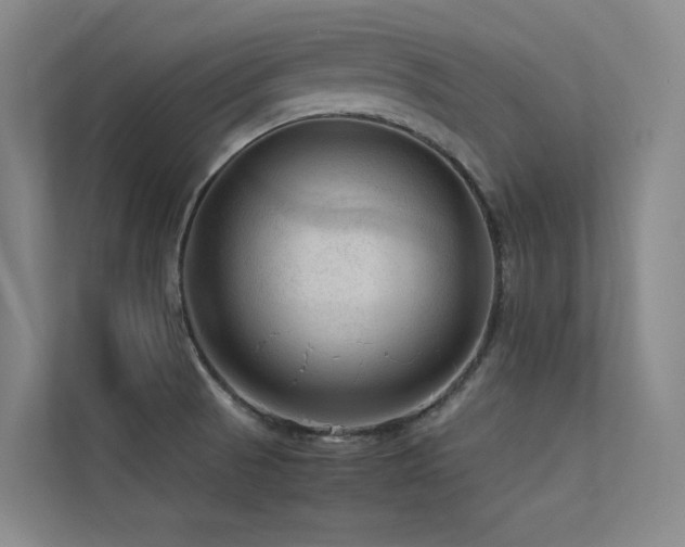 X0000113241521200909101358