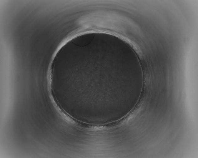 X0000113241522200909101358