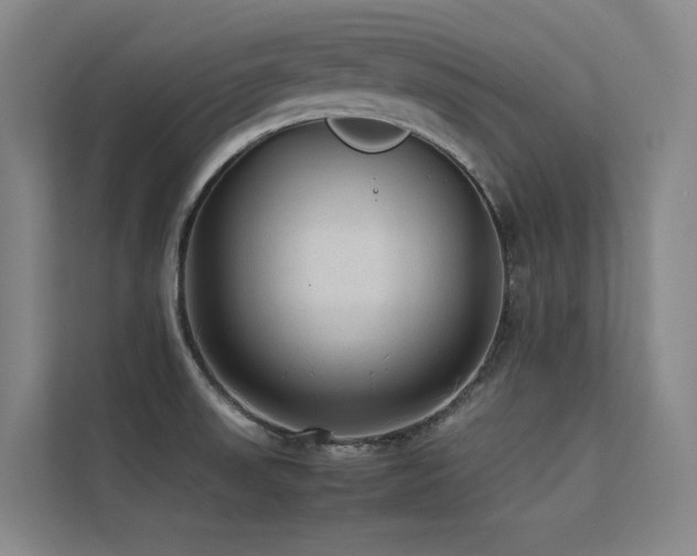 X0000113241523200909101358