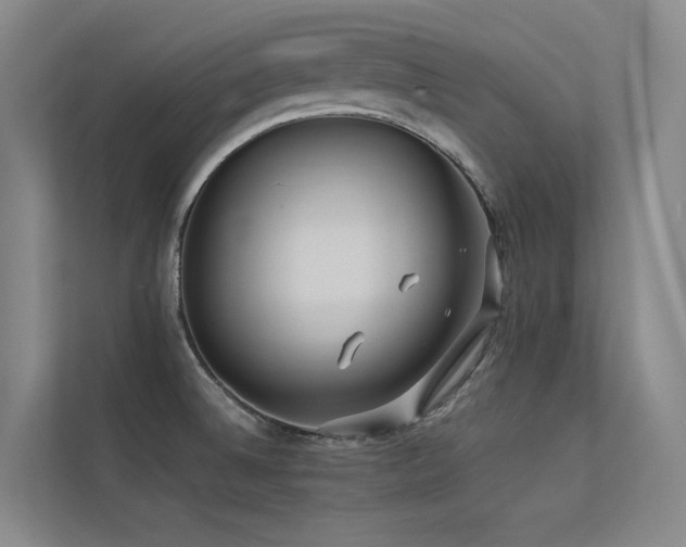 X0000113241524200909101358