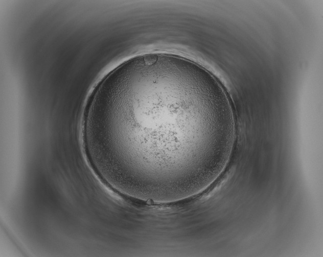 X0000113241525200909101358