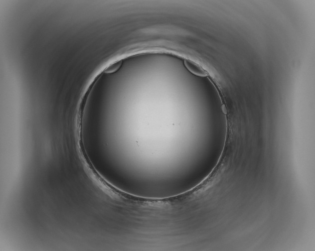 X0000113241526200909101358