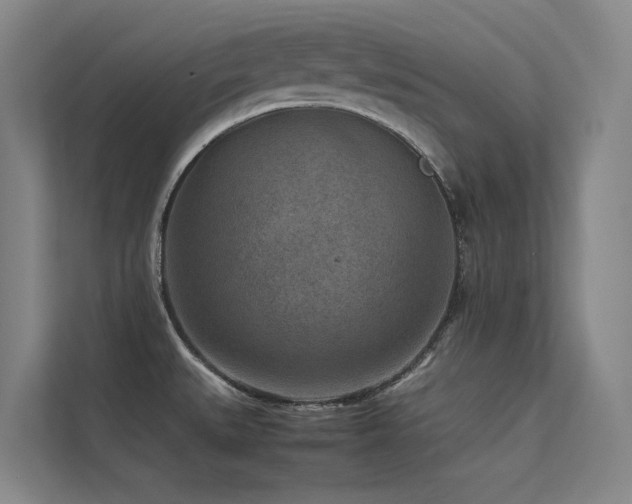 X0000113241527200909101358