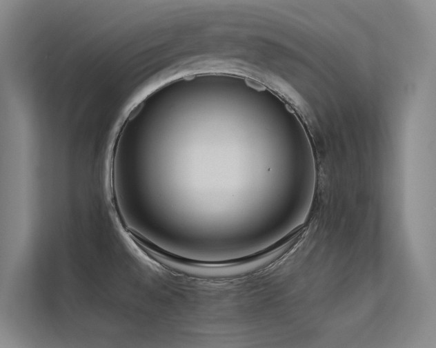 X0000113241528200909101358