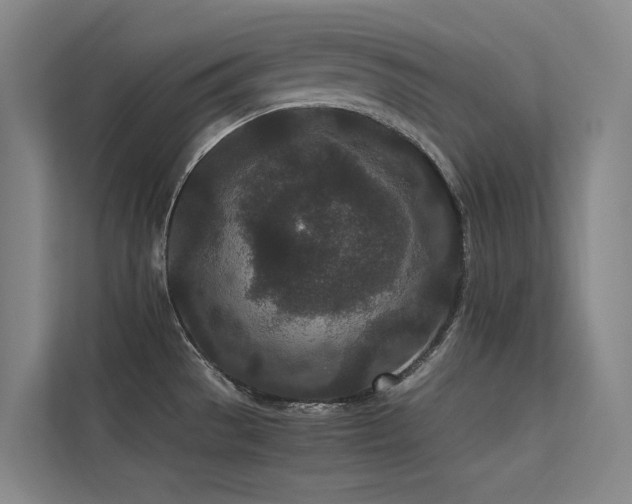 X0000113241529200909101358