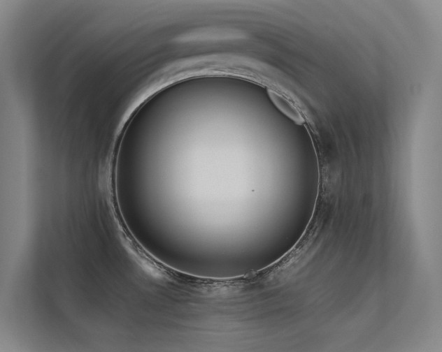 X0000113241530200909101358