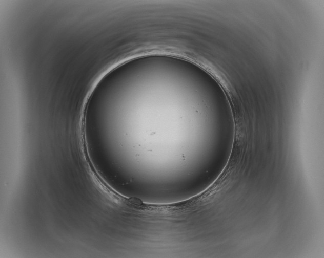 X0000113241532200909101358