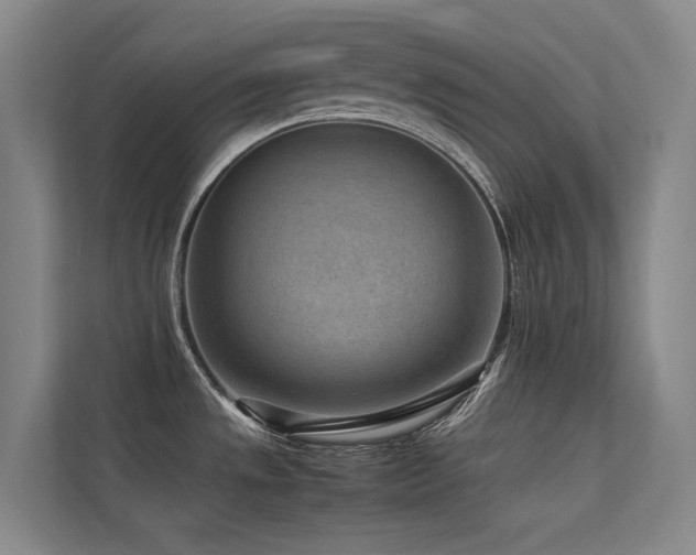 X0000113241533200909101358