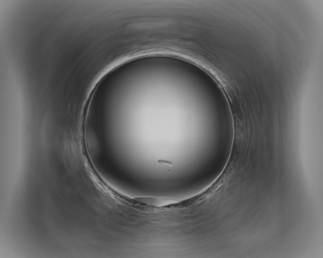 X0000113241534200909101358