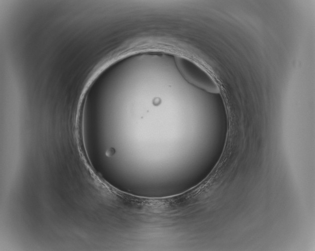 X0000113241536200909101358