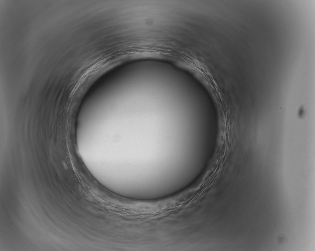 X0000113240001200909171613