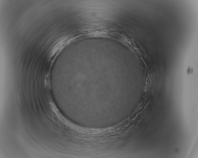 X0000113240002200909171613