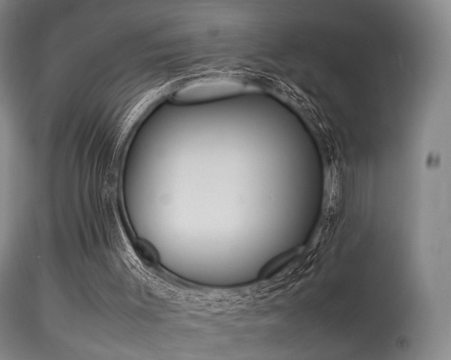 X0000113240003200909171613