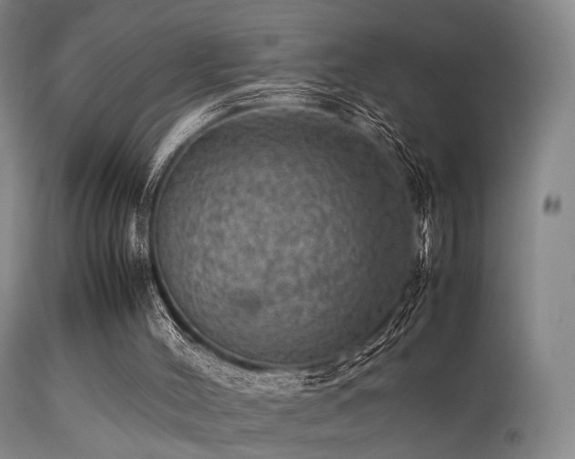 X0000113240004200909171613