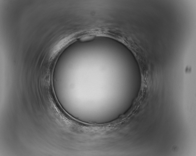 X0000113240005200909171613