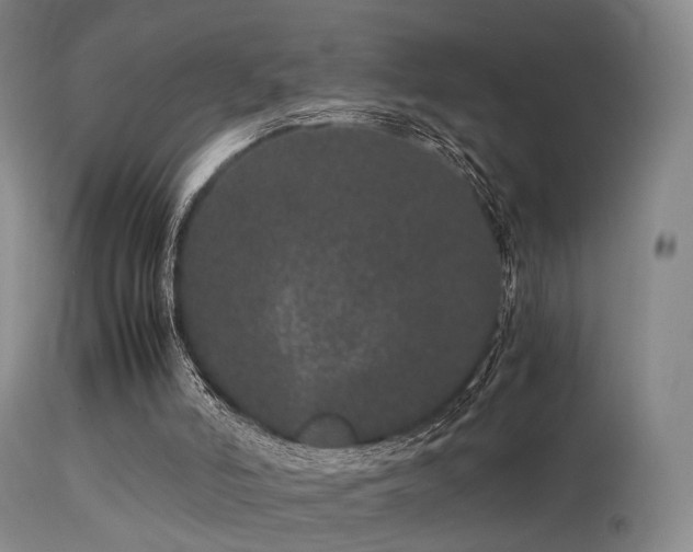 X0000113240006200909171613