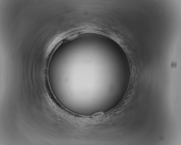 X0000113240007200909171613