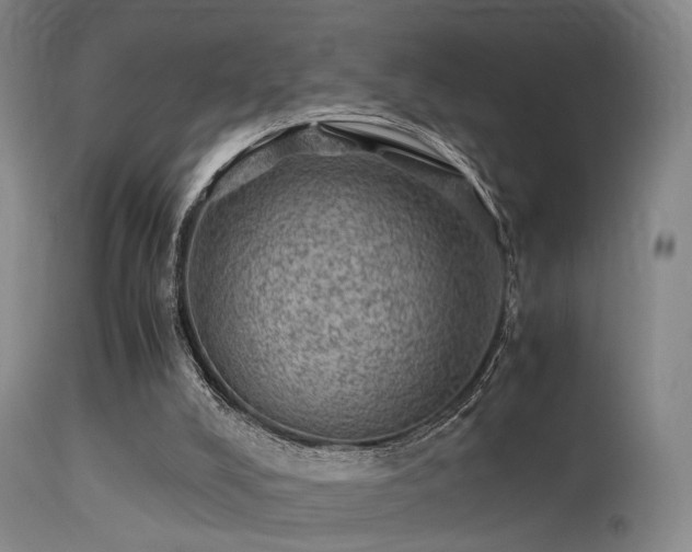 X0000113240008200909171613