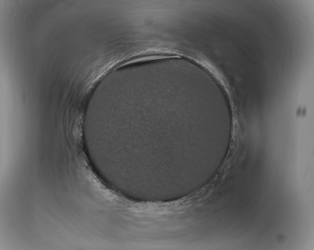 X0000113240009200909171613