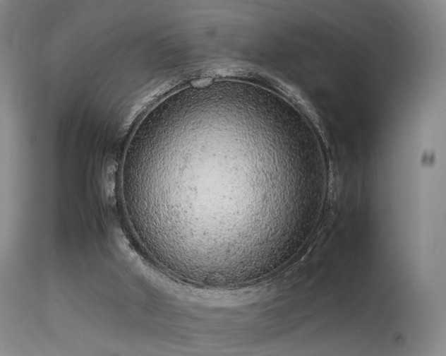 X0000113240010200909171613