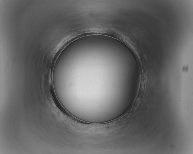 X0000113240011200909171613