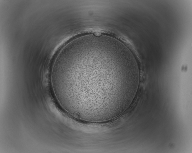 X0000113240012200909171613