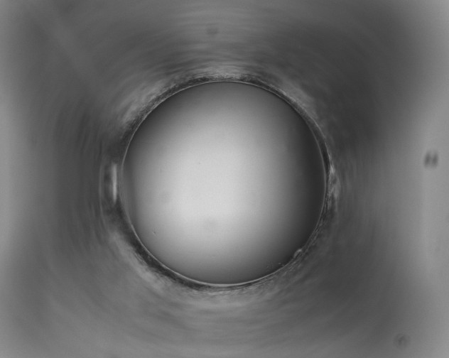 X0000113240013200909171613